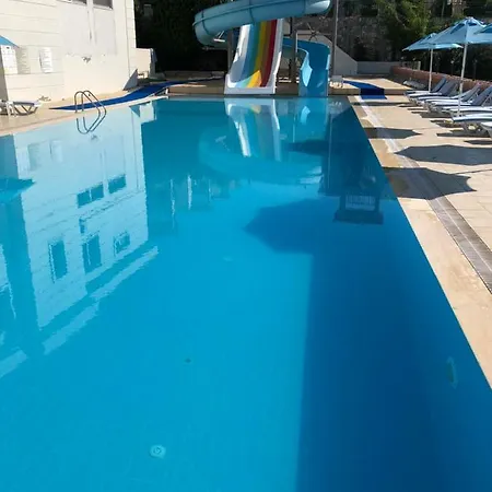 Lily 34 * Bogazici